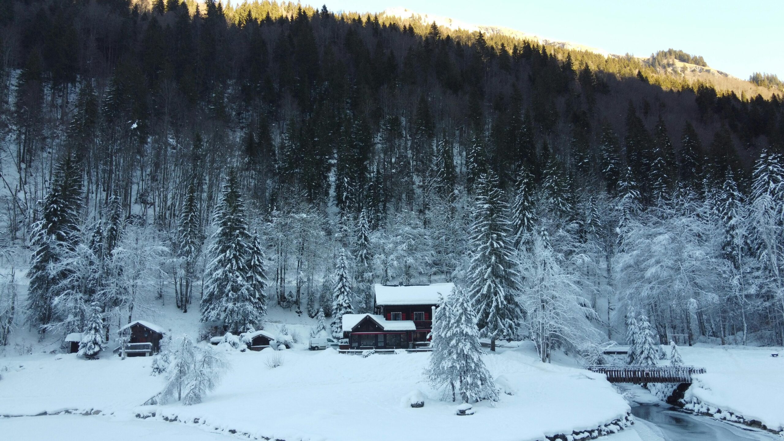 A picturesque winter scene in Montriond, France with snow-covered trees and a cabin.