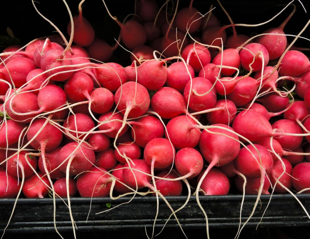 Radish Sprouts