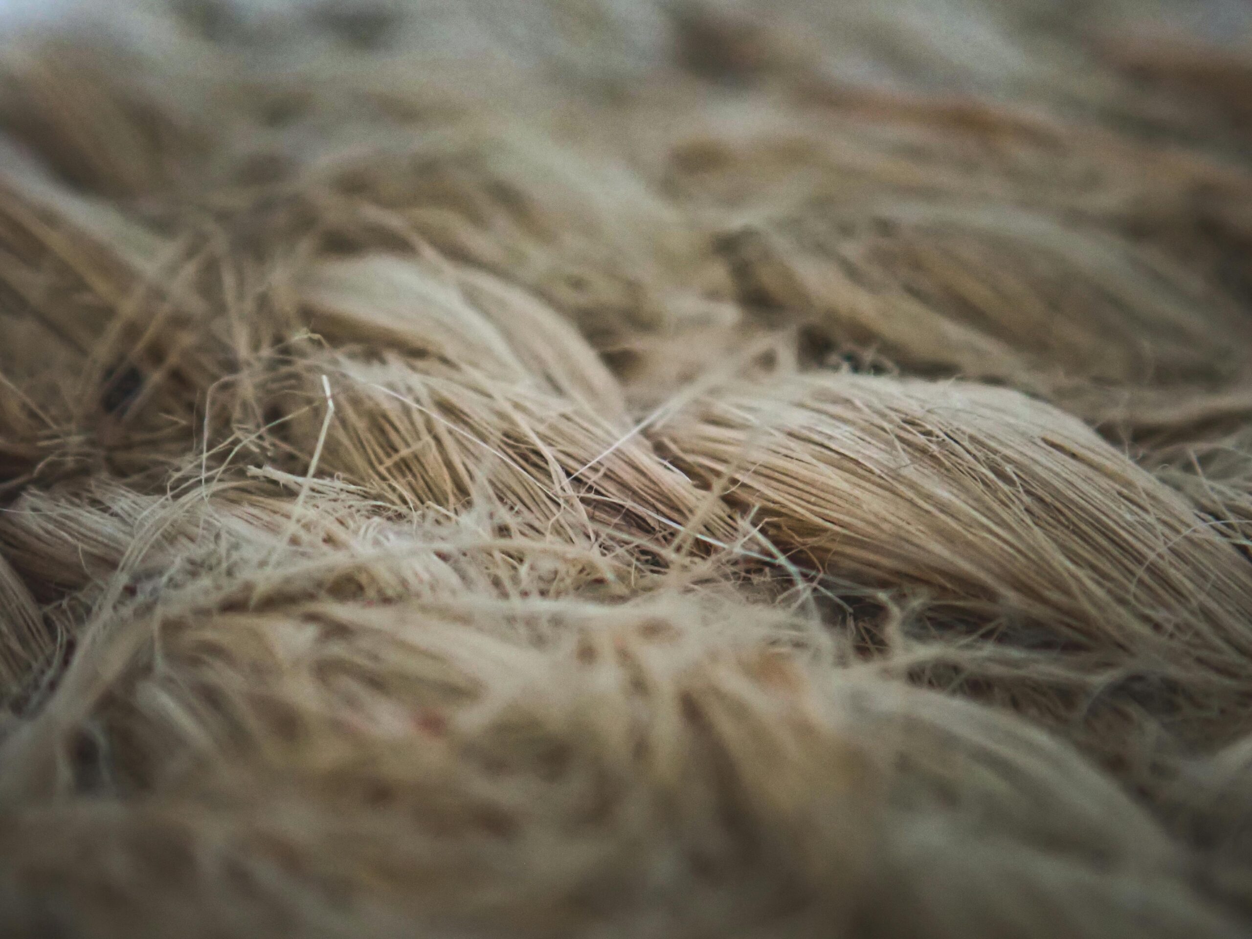 Detailed macro shot of raw flax fibers showcasing texture and natural color.