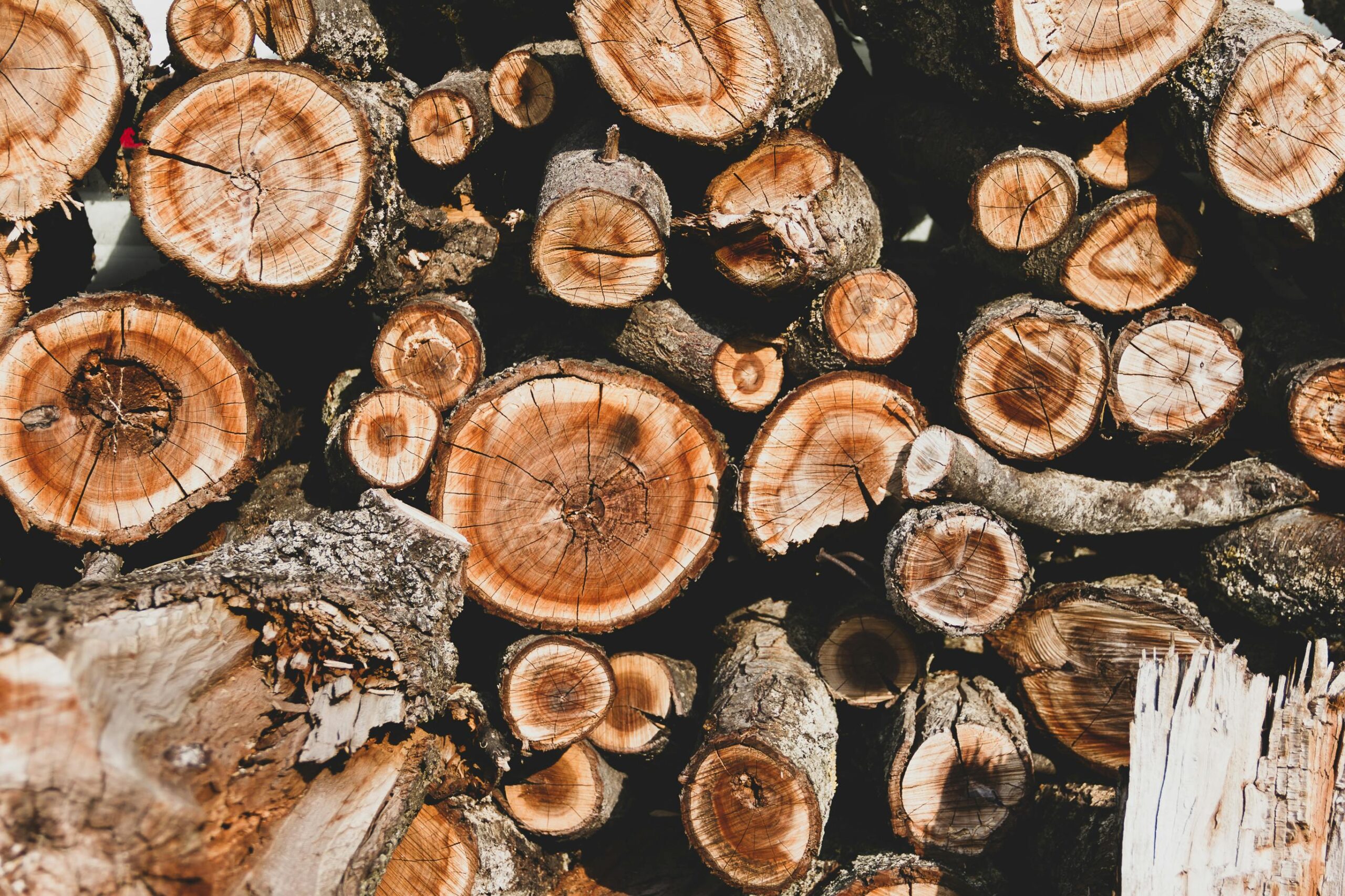 Close-up of neatly stacked logs with visible tree rings, ideal for natural patterns.