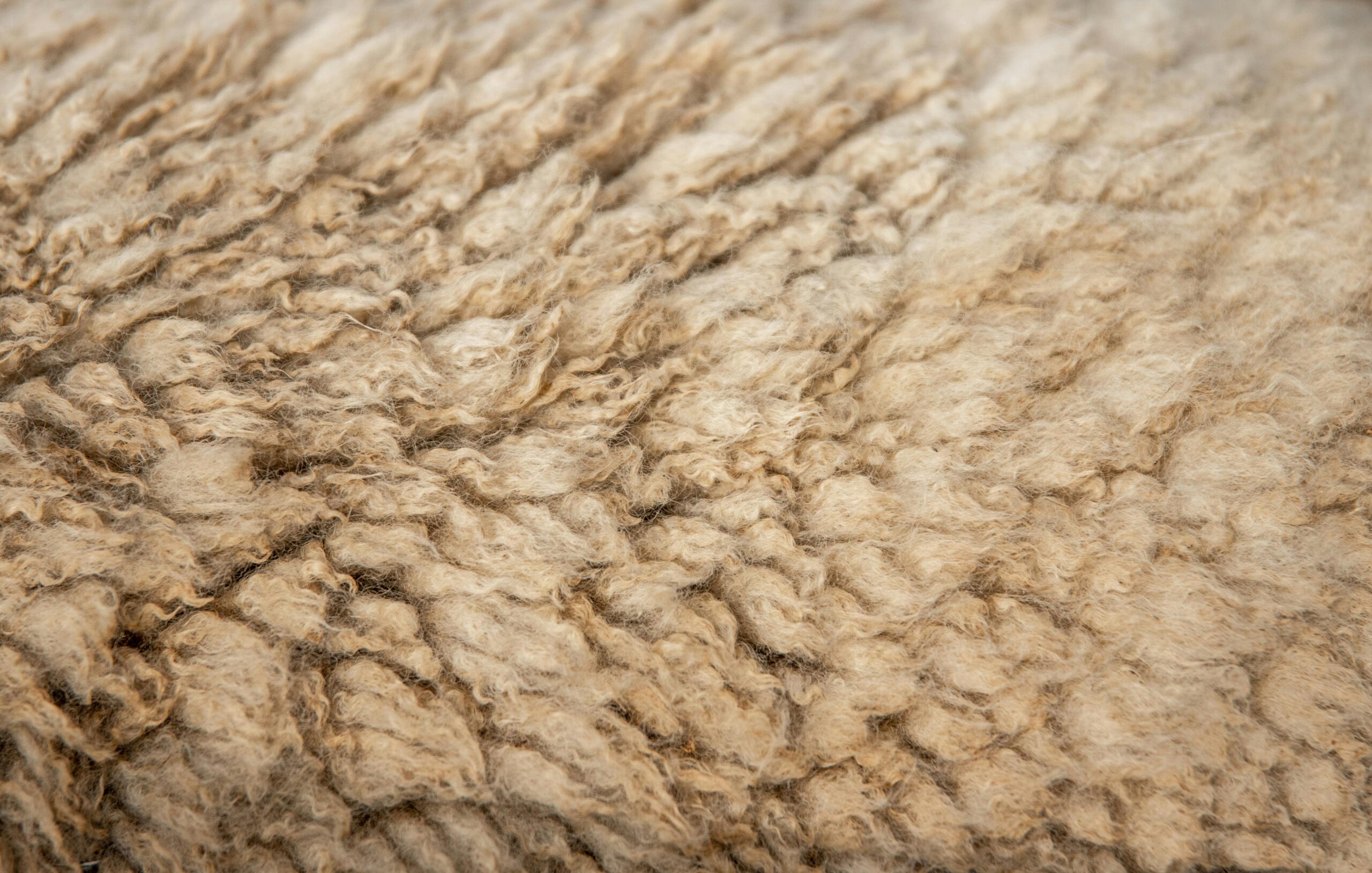 Detailed close-up of beige wool texture showcasing its natural pattern and rough surface.