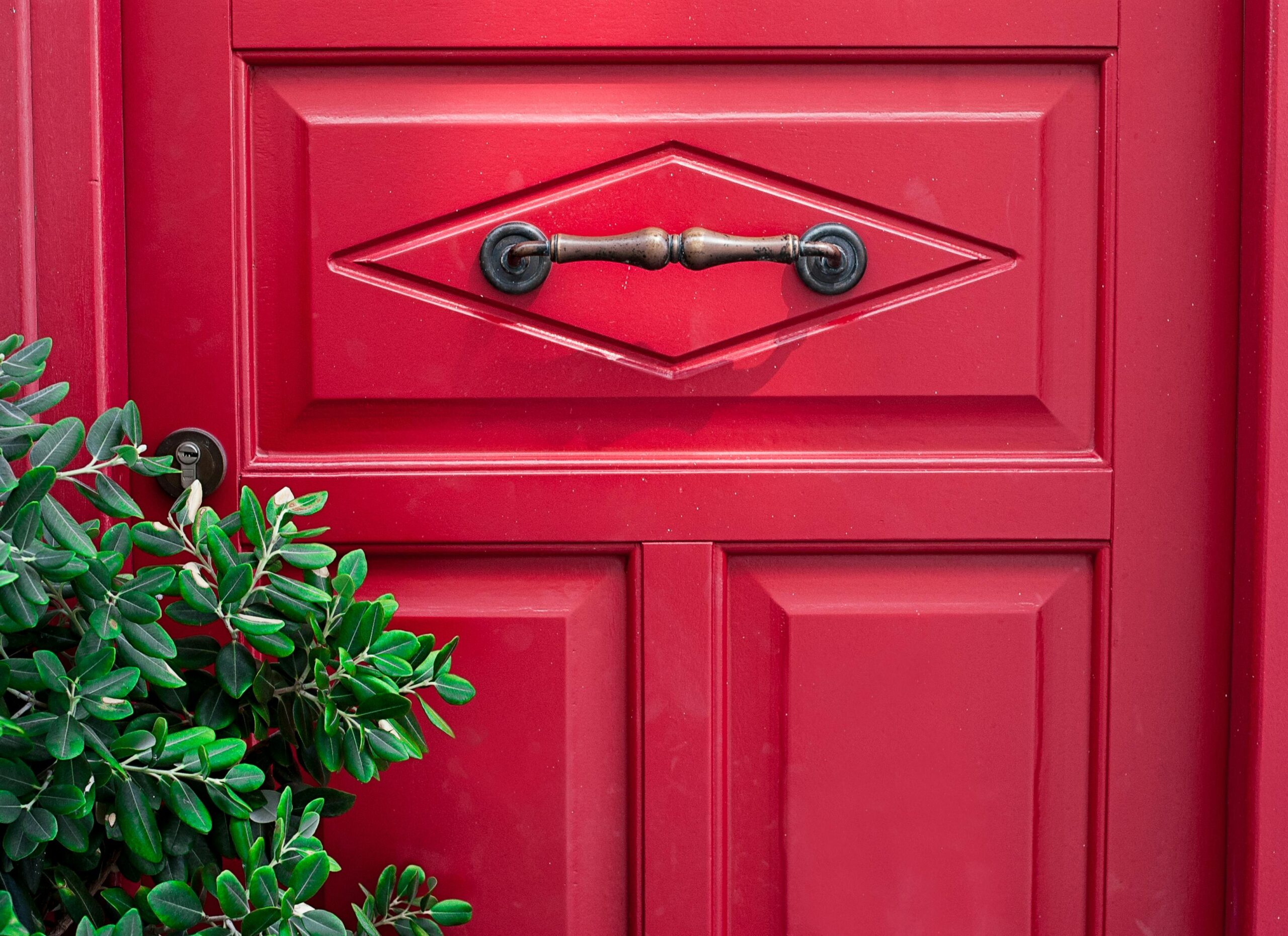 Close-up of a vibrant red door featuring a brass handle and lush green leaves on the side.